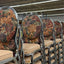 Stacking Beige/Floral Padded Banquet Chairs