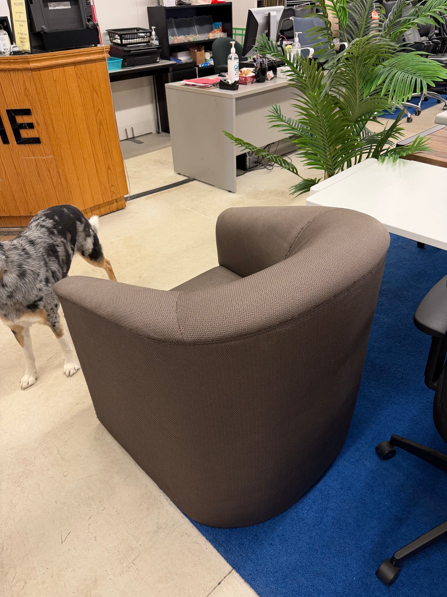 Brown Lounge/Accent Chair